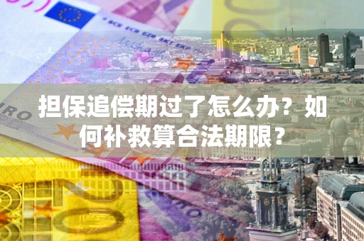 北京担保追偿期过了怎么办？如何补救算合法期限？