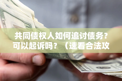 北京共同债权人如何追讨债务？可以起诉吗？（速看合法攻略）