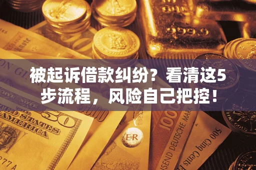 北京被起诉借款纠纷？看清这5步流程，风险自己把控！