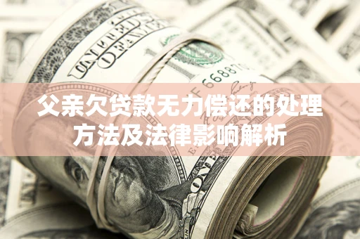 北京父亲欠贷款无力偿还的处理方法及法律影响解析